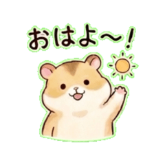 Hamster Daily Conversation Phrases