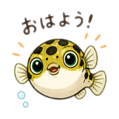 tomato126_20260426234846