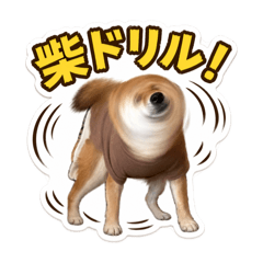 elichi_20260426234537