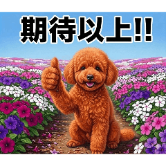 Non-stop Praise! Thumbs-up Dogs