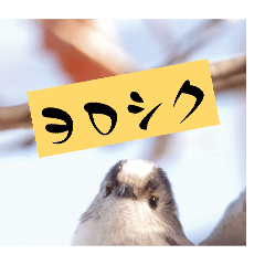 haekinngu_20260421201901