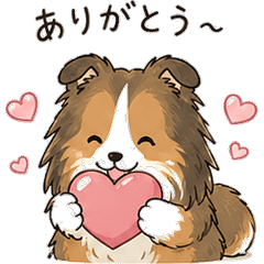 Lazy Sheltie Stickers