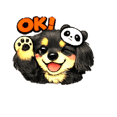 Miniature Dachshund Cute Btun