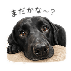 moriyume3374_20260427055104