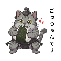 MEI the Sumo Cat: Daily Life