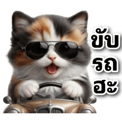 โกโก้_แมวจอมป่วน