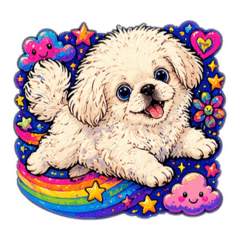 Mei Mei the Pekingese