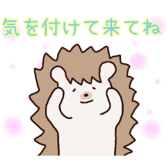 PAKAMOGOLY_20260427074301