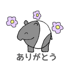 Moo the Malayan Tapir