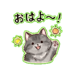 Siberian cat | Everyday Chat Stickers