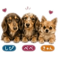 mayu_20260427080639