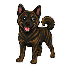 Cute Kai Ken Dog Everyday Life