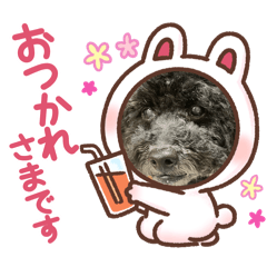 Riccheru_mom_20260427102013