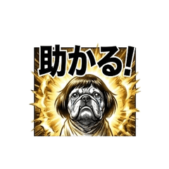 katurainu ryoukaihennsinn