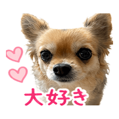 Namichan Chiwawa Sticker