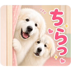 ebirin_20260427102313