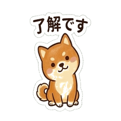 mameshiba for everyday use