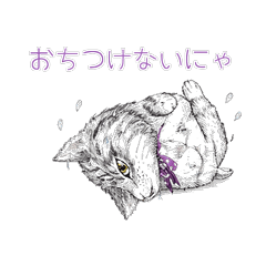 Angry Cat Stickers 3