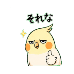 Funny Cockatiel Piyosuke Stickers