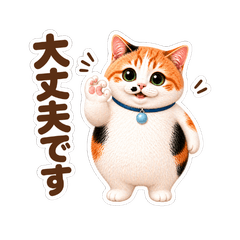 Sowa, the chubby calico cat 3