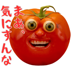 A wild Tomato appeared!