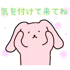 PAKAMOGOLY_20260427074428