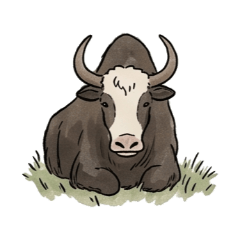 Peaceful Life of Yak and Dzopkyo