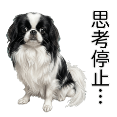 Japanese Chin 真心話貼圖 - 搞笑 - AG
