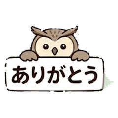 Gourmet Owl: French Dining Adventures