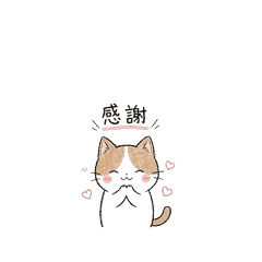 Cat's Words of Encouragement