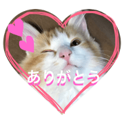 Cherikun4
