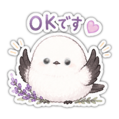 lavender@kn_20260427124120