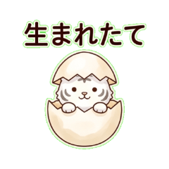 Howatora - Daily Chat Stickers2