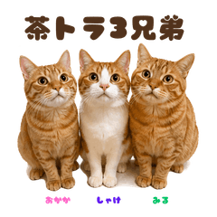 My Three Cat Brothers 4
