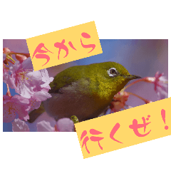 haekinngu_20260421205403