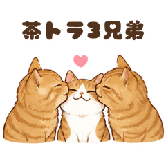 My Three Cat Brothers 1