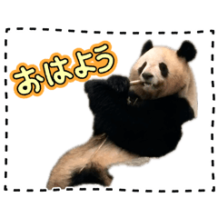 haruto_20260427083707