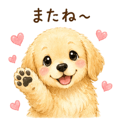 Gentle Golden Retriever Ending the Chat