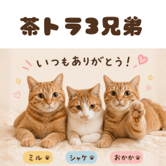 My Three Cat Brothers 3