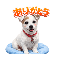 kazuyoshi nishikawa_20260427100837