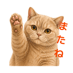 Japanese cat_20260427100217