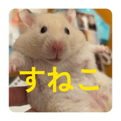 minomo_20260427114559