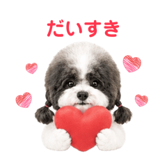RION&ARICE_20260427115541