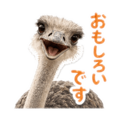 Cute emu