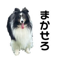 kaka_20260427140733
