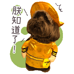 Duffy Family 達菲家族