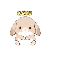 SAKURA_20260427141017