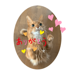 Renpi_20260427142048