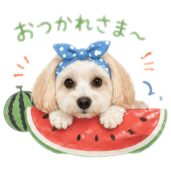 yuchi_summer