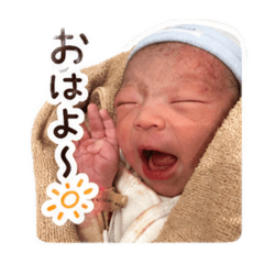 yuneko_20260427142933